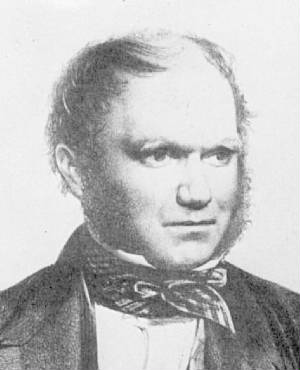 Darwin29.jpg