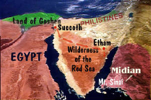 redsea1.jpg